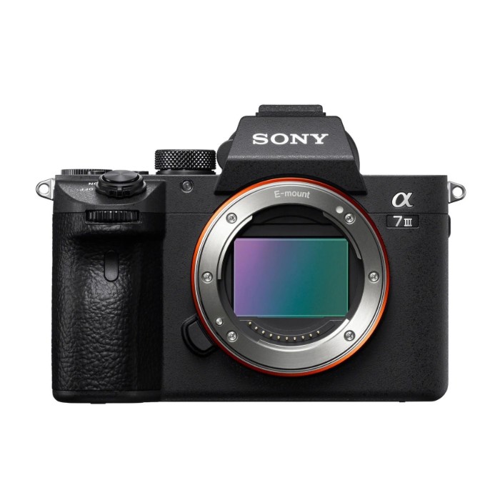 Picture of Sony Alpha a7 III 24.2MP Full-Frame Mirrorless Camera (Body Only) – Black (Brand New)