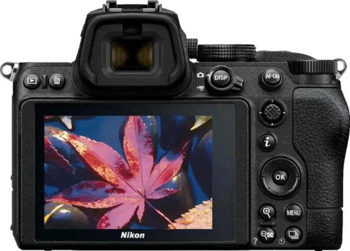 Picture of Nikon Z5 24.3MP Entry Full-Frame Mirrorless Camera Body - Black