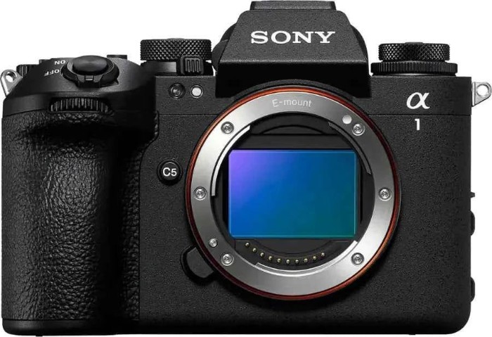 Picture of Sony α1 II 50.1MP Flagship Full-Frame Mirrorless Camera Body - Black