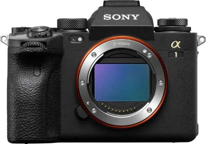 Picture of Sony α1 50.1MP Flagship Full-Frame Mirrorless Camera Body - Black