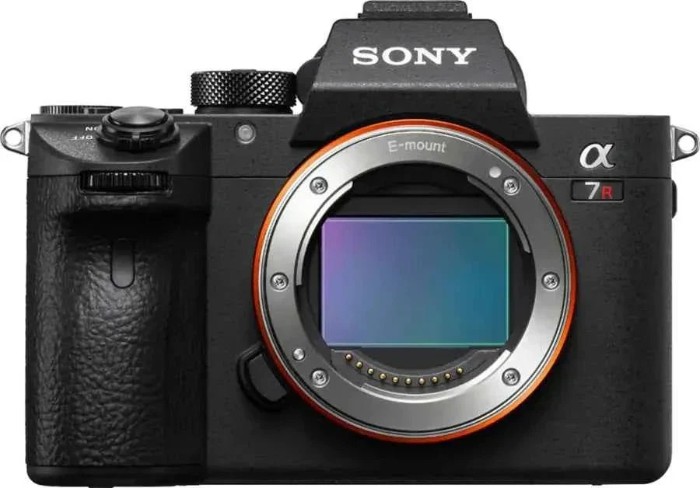 Picture of Sony α7R IV 61MP Full-Frame Mirrorless Camera Body Only - Black