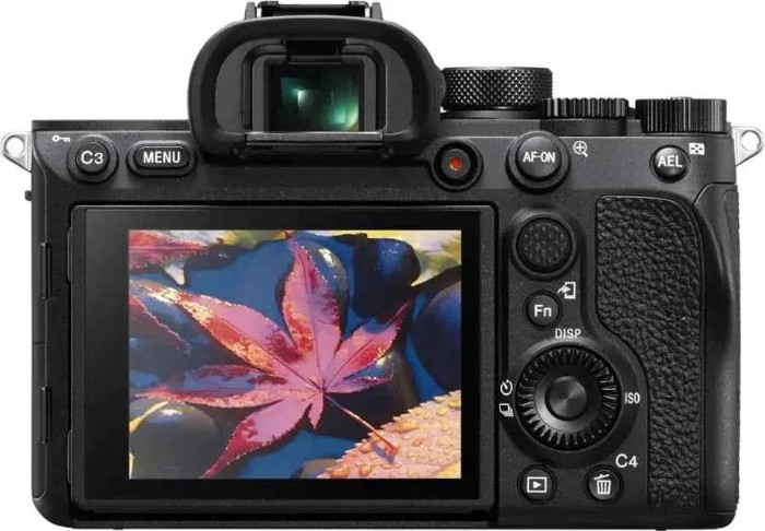 Picture of Sony α7R IV 61MP Full-Frame Mirrorless Camera Body Only - Black