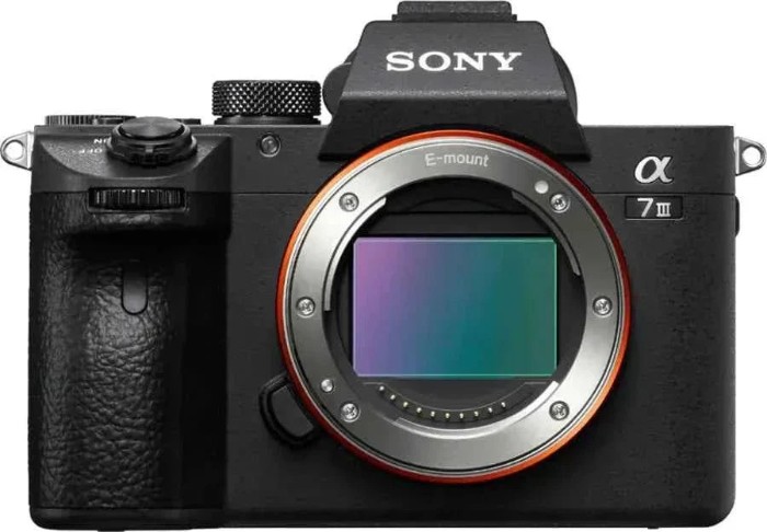 Picture of Sony Alpha a7 III 24.2MP Full-Frame Mirrorless Camera Body Only - Black
