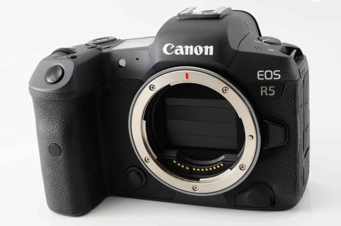 Picture of Canon EOS R5 45MP Full-Frame Mirrorless Camera Body Only - Black
