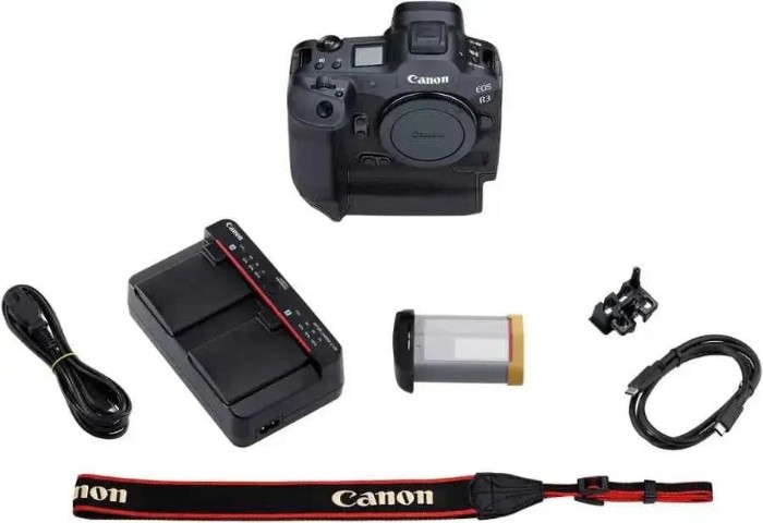Picture of Canon EOS R3 24.1MP Full-Frame Mirrorless Camera Body Only - Black