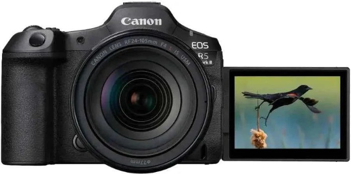 Picture of Canon EOS R5 Mark II 45MP Full-Frame Mirrorless Camera Body - Black